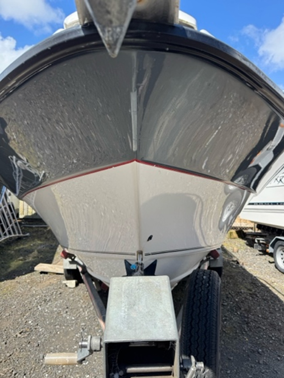 Mobile Boat Detailing Services