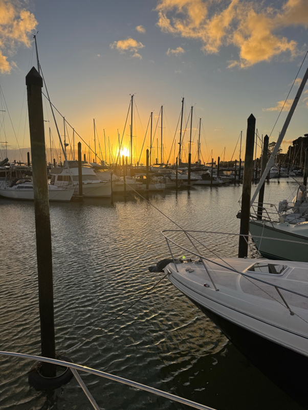 Boat Detailing Services