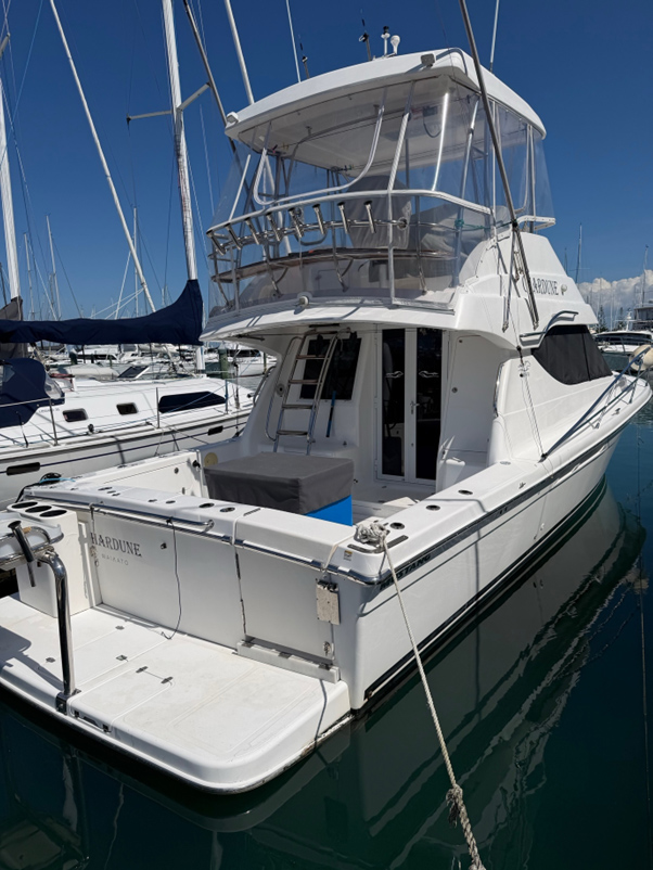 Boat Polishing Services